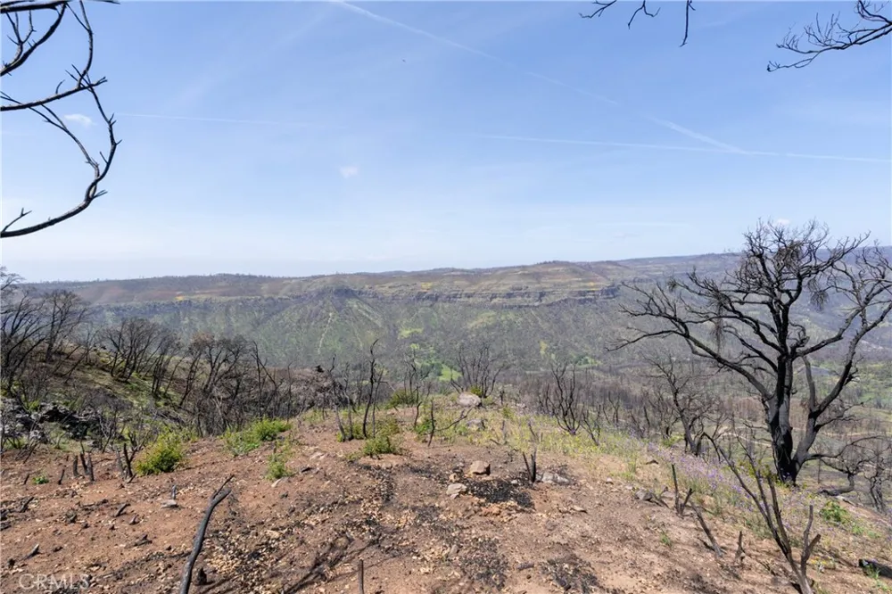 Toll Gate Way Forest Ranch, CA 95942