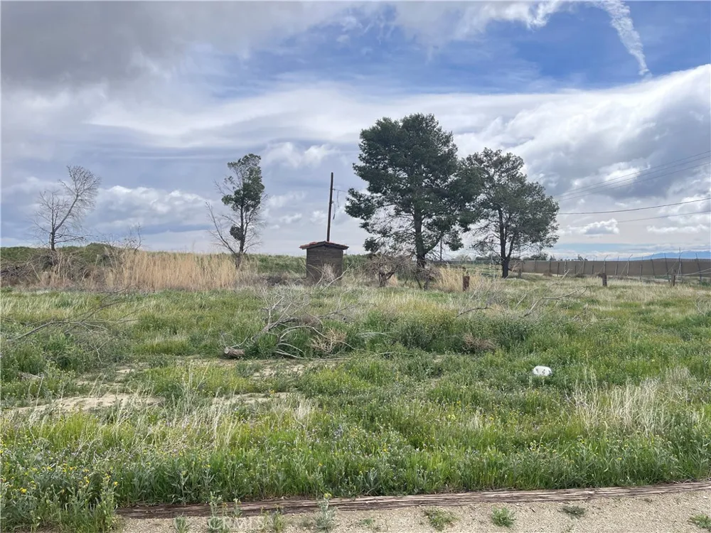 15981 Gaskell Road Rosamond, CA 93560