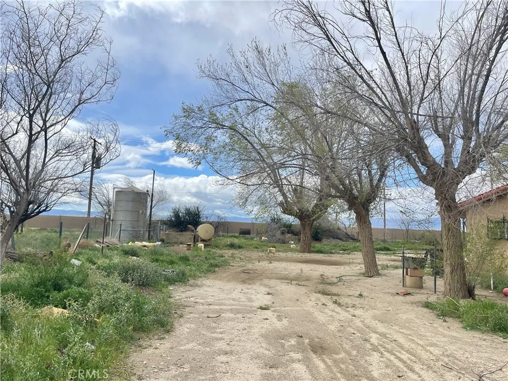 15981 Gaskell Road Rosamond, CA 93560