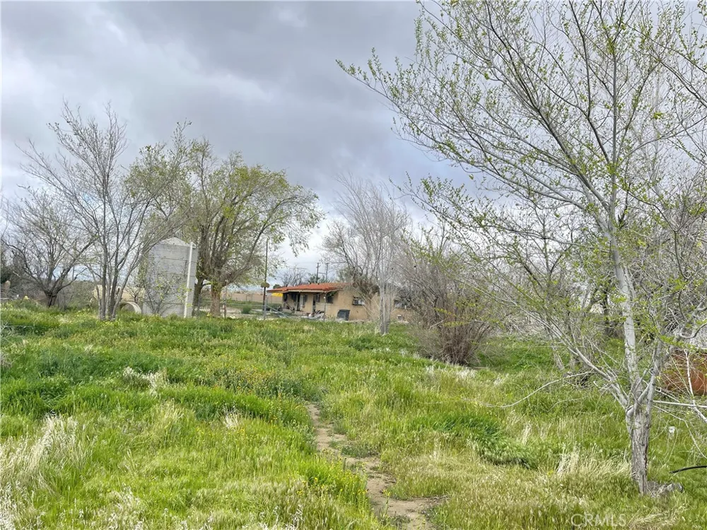 15981 Gaskell Road Rosamond, CA 93560