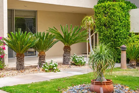 477 Desert Lakes Drive