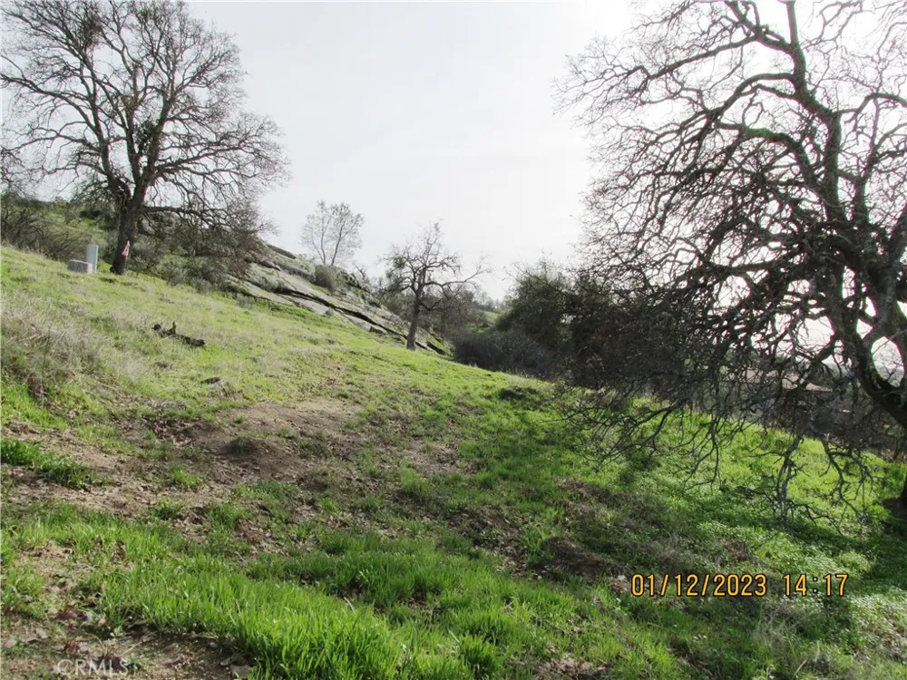 39854 Lilley Mountain Drive Coarsegold, CA 93614