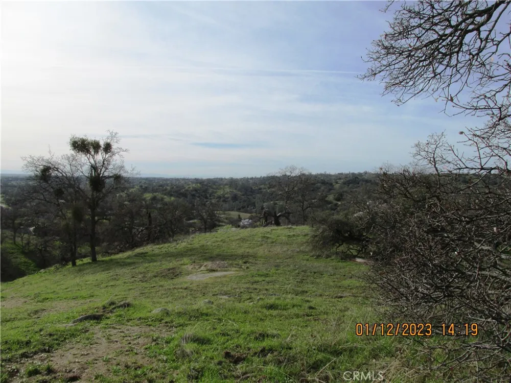 39854 Lilley Mountain Drive Coarsegold, CA 93614