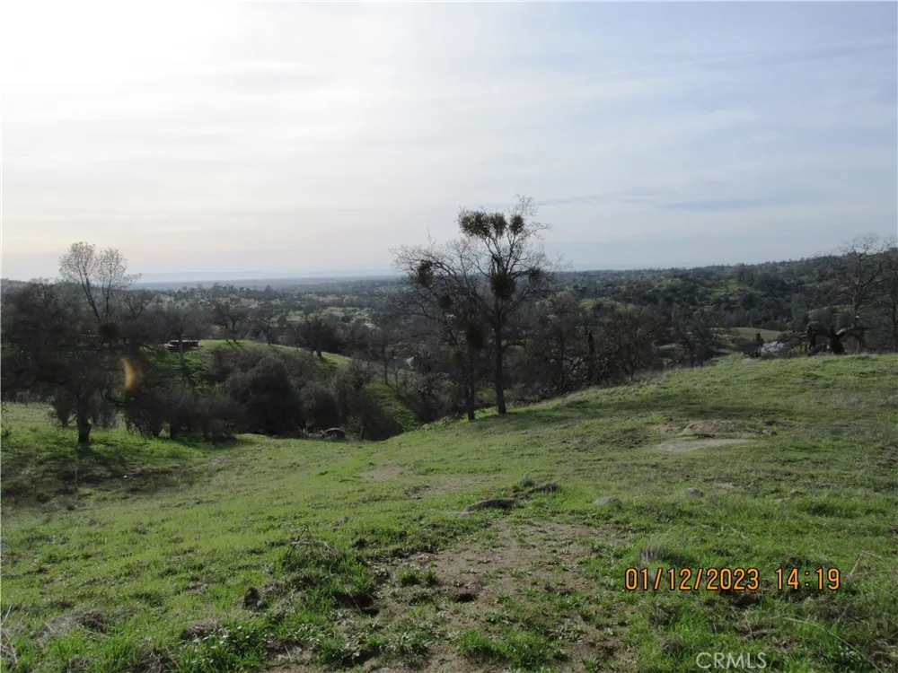 39854 Lilley Mountain Drive Coarsegold, CA 93614