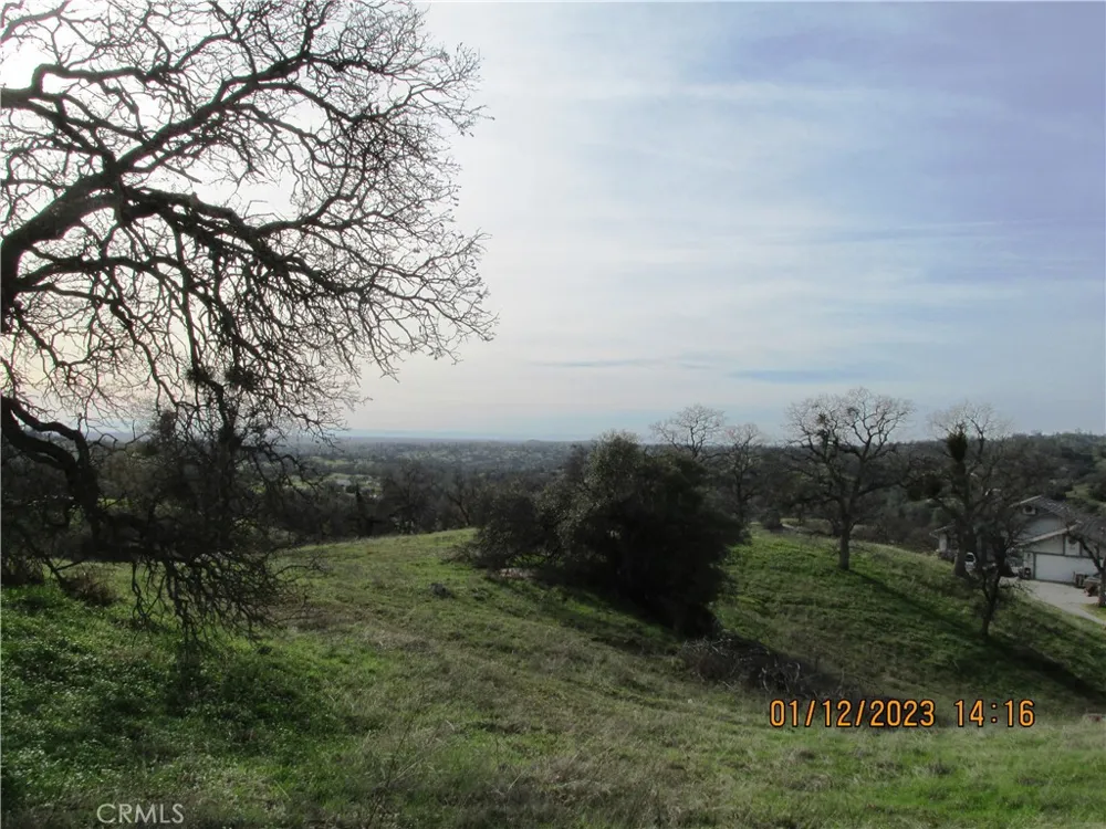39854 Lilley Mountain Drive Coarsegold, CA 93614