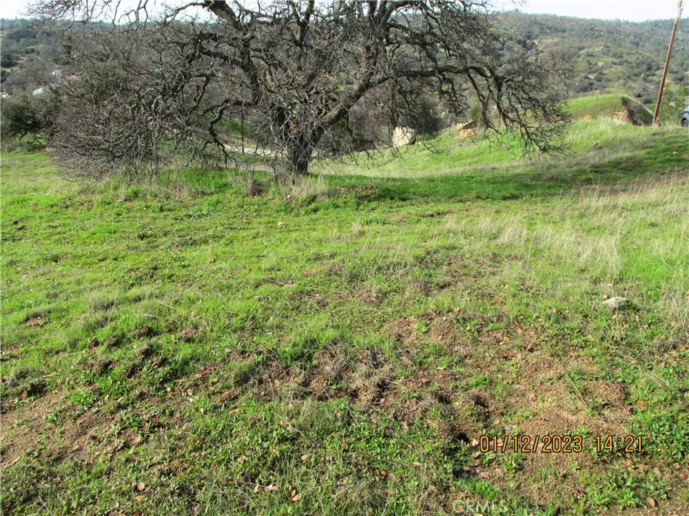 39854 Lilley Mountain Drive Coarsegold, CA 93614