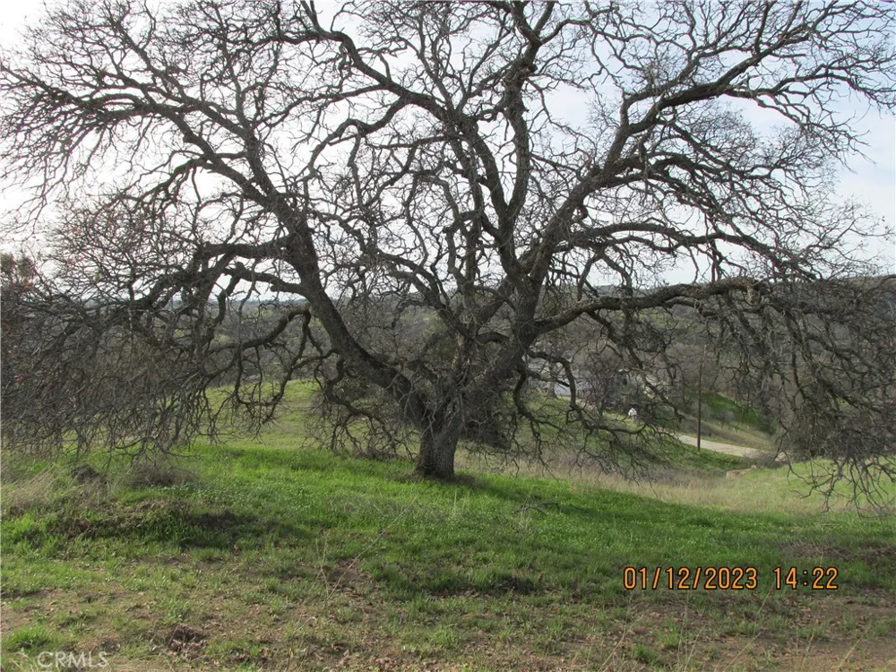 39854 Lilley Mountain Drive Coarsegold, CA 93614