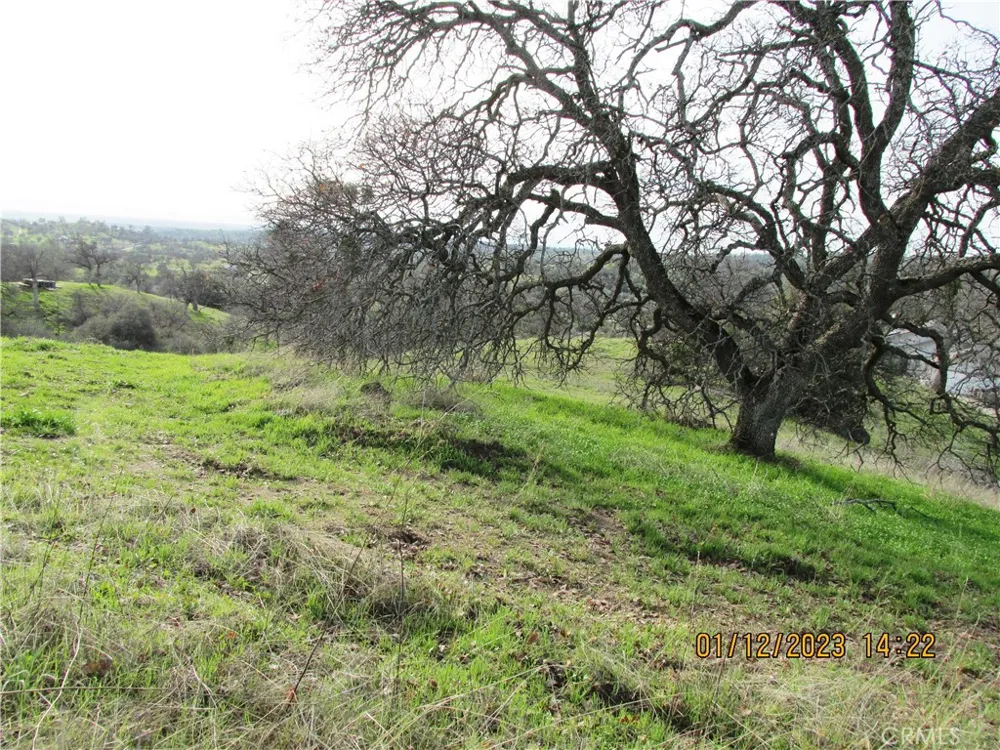 39854 Lilley Mountain Drive Coarsegold, CA 93614