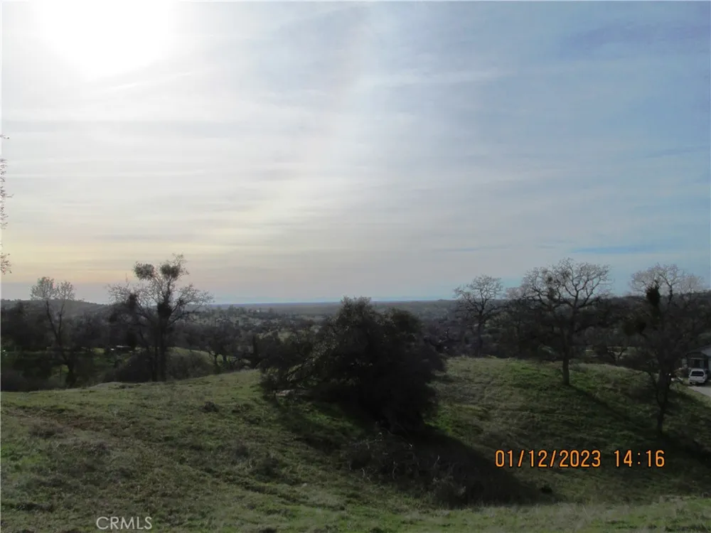 39854 Lilley Mountain Drive Coarsegold, CA 93614