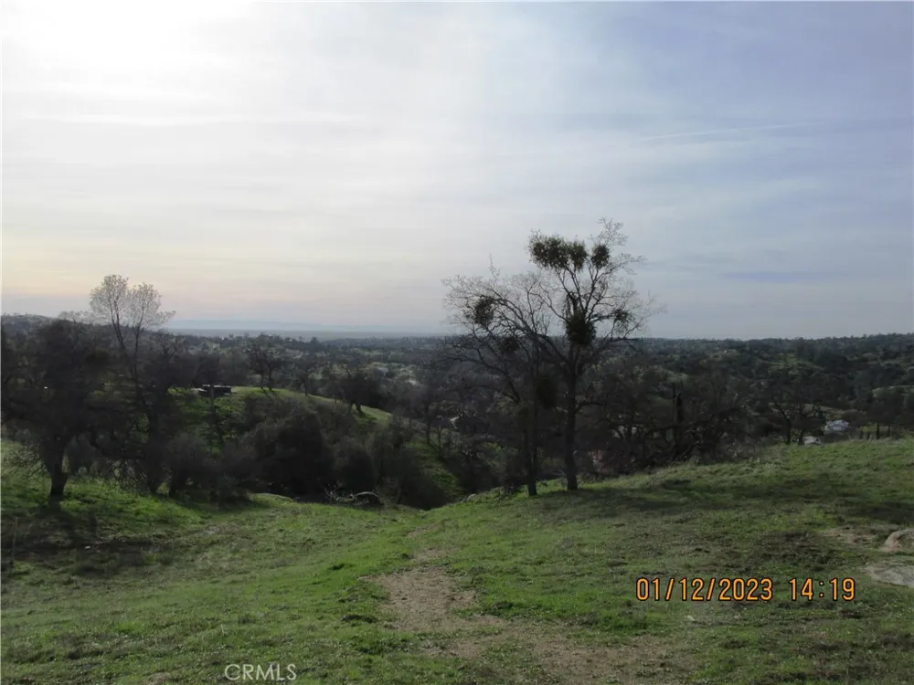 39854 Lilley Mountain Drive Coarsegold, CA 93614