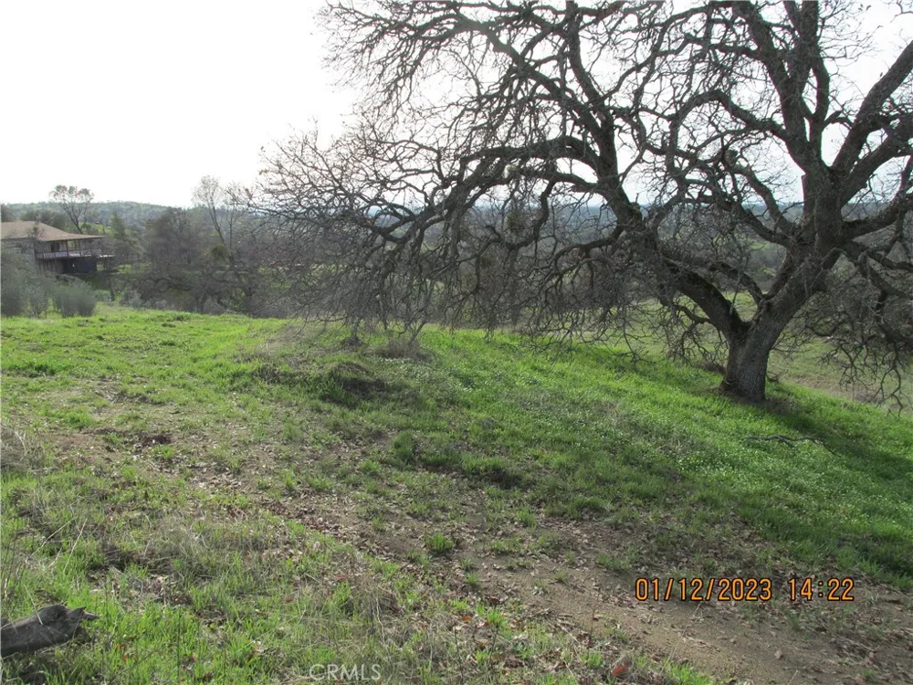 39854 Lilley Mountain Drive Coarsegold, CA 93614