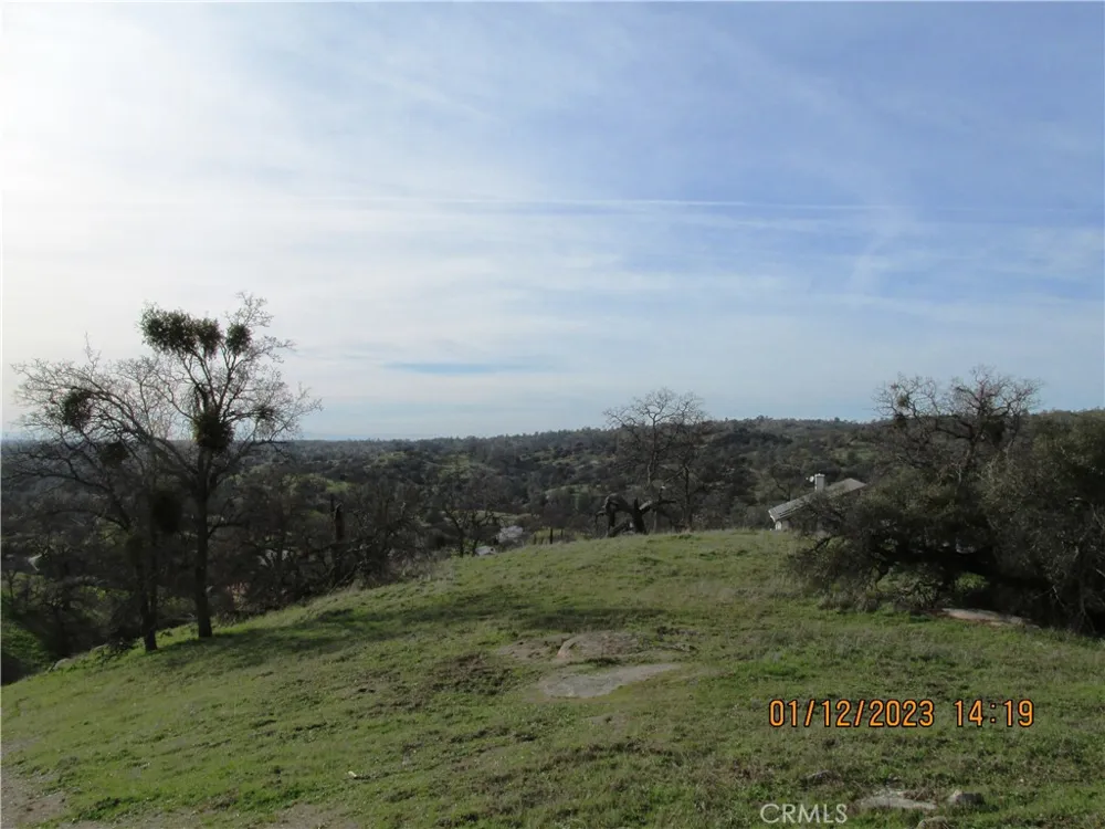 39854 Lilley Mountain Drive Coarsegold, CA 93614