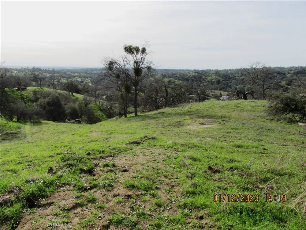 39854 Lilley Mountain Drive Coarsegold, CA 93614