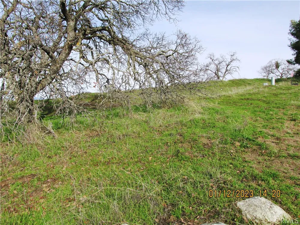 39854 Lilley Mountain Drive Coarsegold, CA 93614