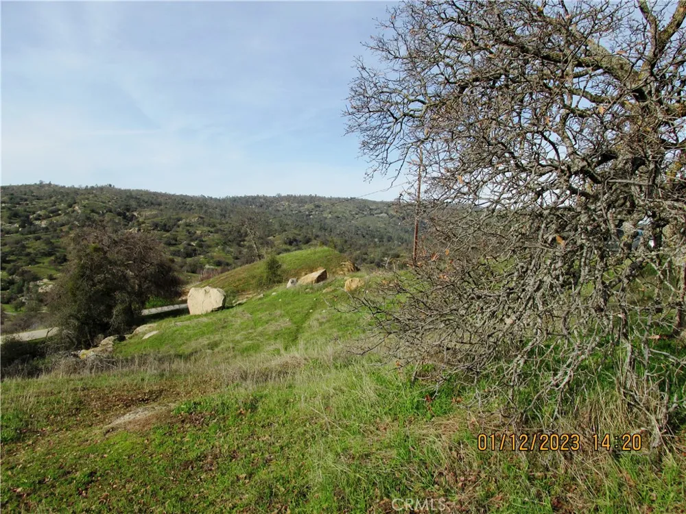 39854 Lilley Mountain Drive Coarsegold, CA 93614
