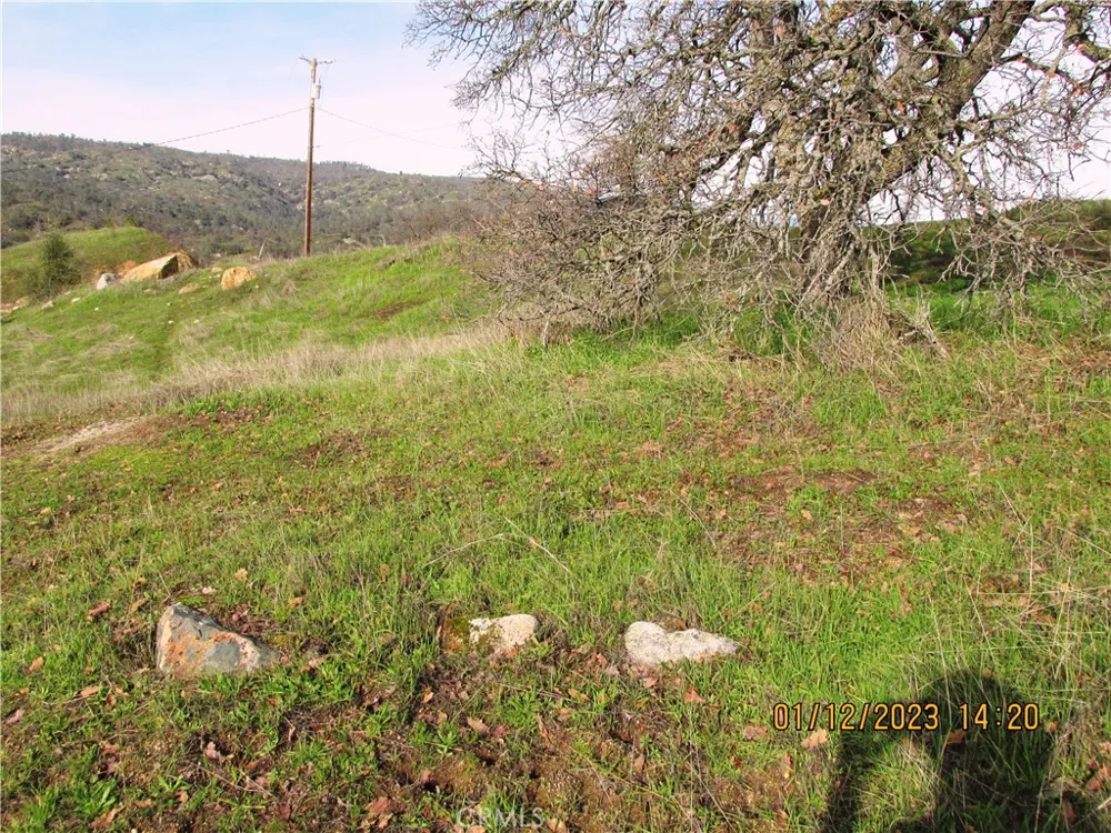 39854 Lilley Mountain Drive Coarsegold, CA 93614
