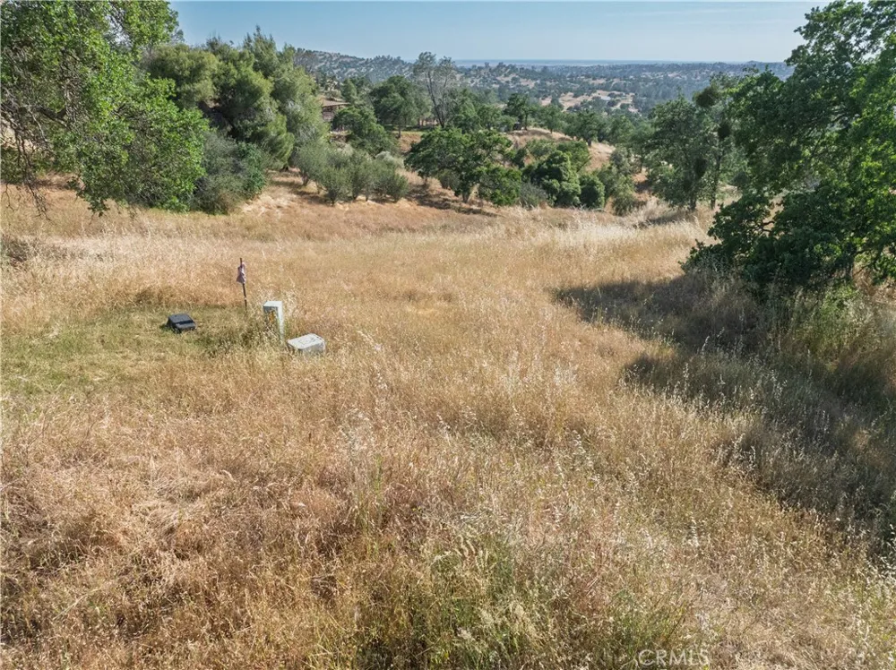 39854 Lilley Mountain Drive Coarsegold, CA 93614