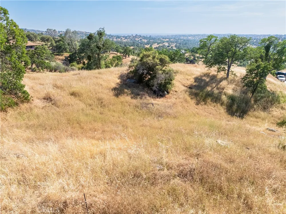 39854 Lilley Mountain Drive Coarsegold, CA 93614