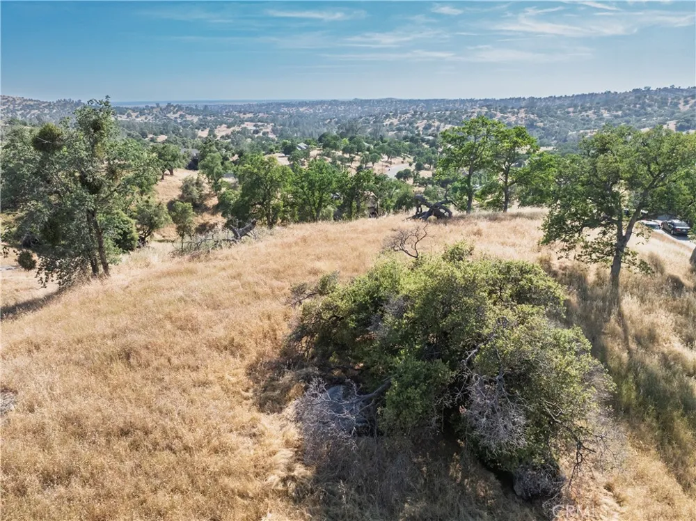 39854 Lilley Mountain Drive Coarsegold, CA 93614