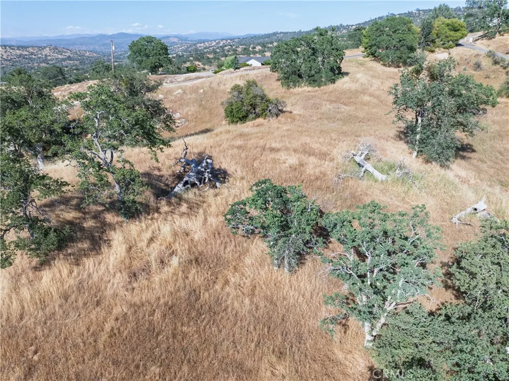 39854 Lilley Mountain Drive Coarsegold, CA 93614