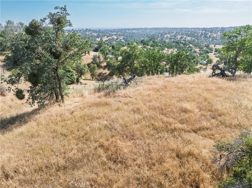 39854 Lilley Mountain Drive Coarsegold, CA 93614