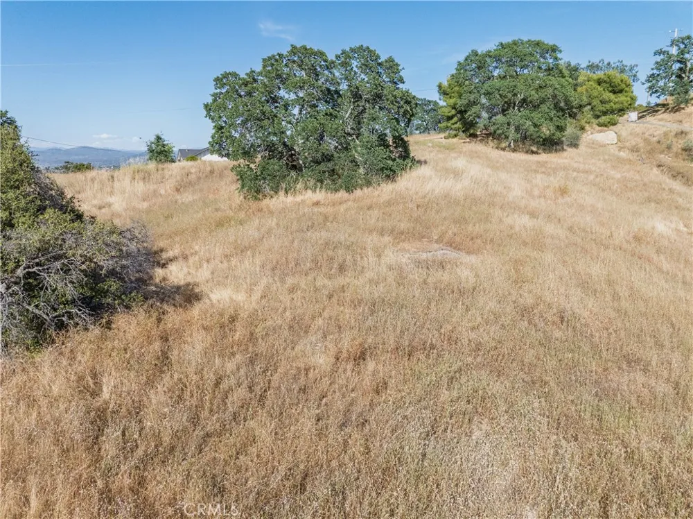 39854 Lilley Mountain Drive Coarsegold, CA 93614