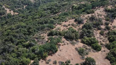8 Acres