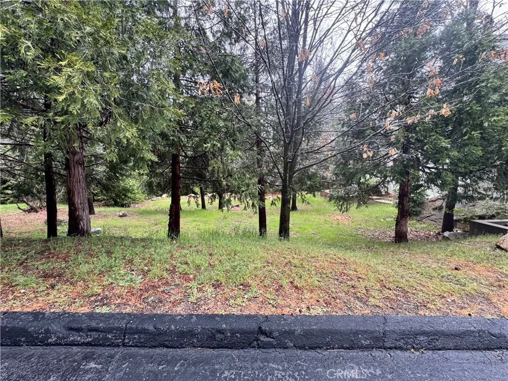 27525 Meadow Bay Drive Lake Arrowhead, CA 92352