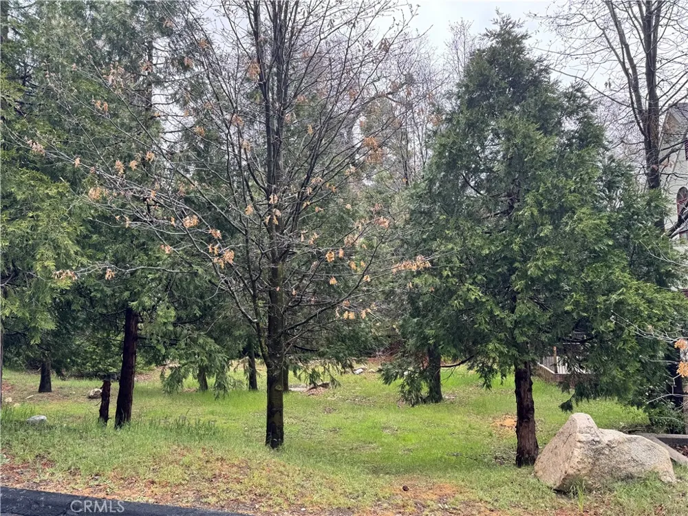 27525 Meadow Bay Drive Lake Arrowhead, CA 92352