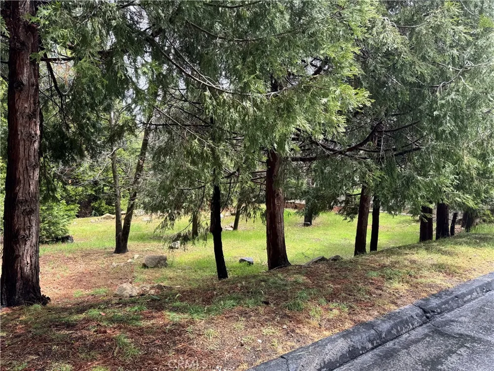 27525 Meadow Bay Drive Lake Arrowhead, CA 92352