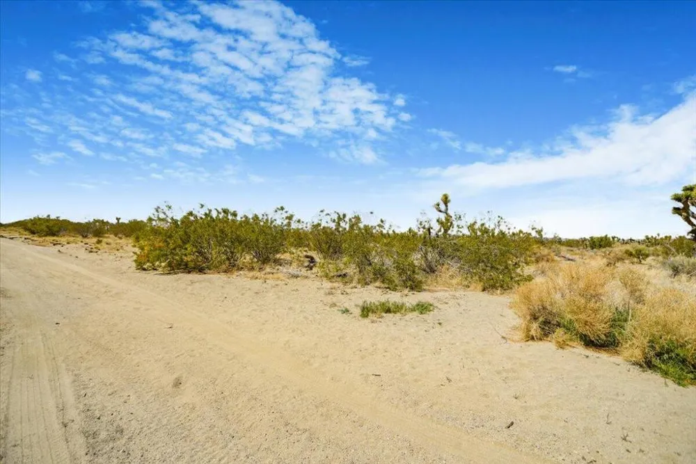Ave W4 Drt Vic 98th Ste Pearblossom, CA 93553