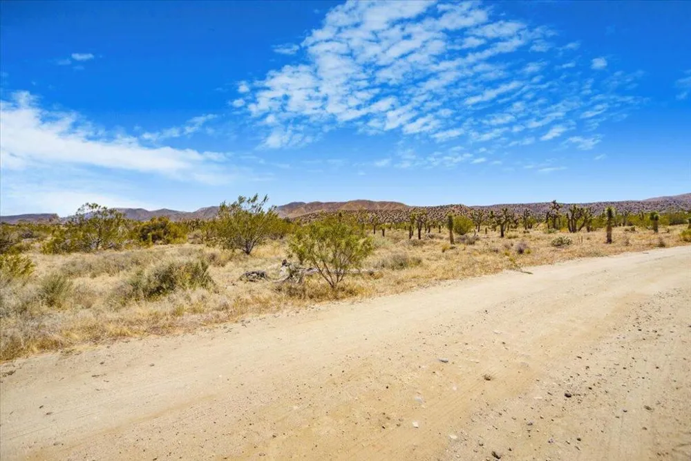Ave W4 Drt Vic 98th Ste Pearblossom, CA 93553