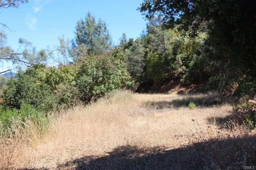 5191 Lake Road Lower Lake, CA 95457