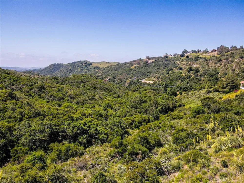 Chris Lane Trabuco Canyon, CA 92679