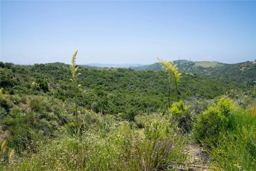 Chris Lane Trabuco Canyon, CA 92679
