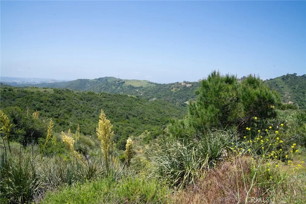 Chris Lane Trabuco Canyon, CA 92679