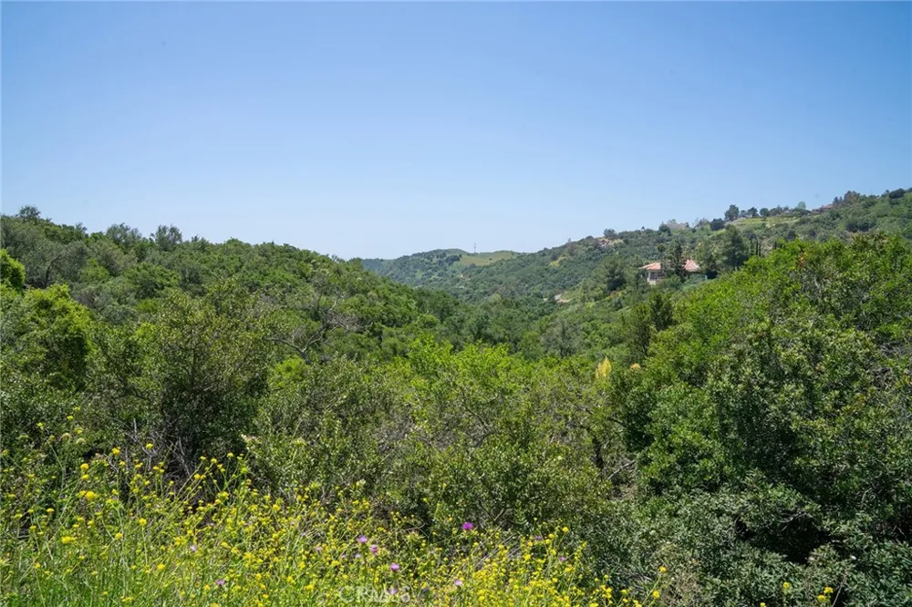 Chris Lane Trabuco Canyon, CA 92679