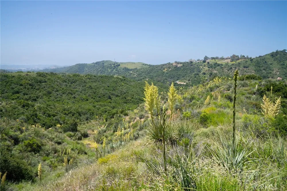 Chris Lane Trabuco Canyon, CA 92679