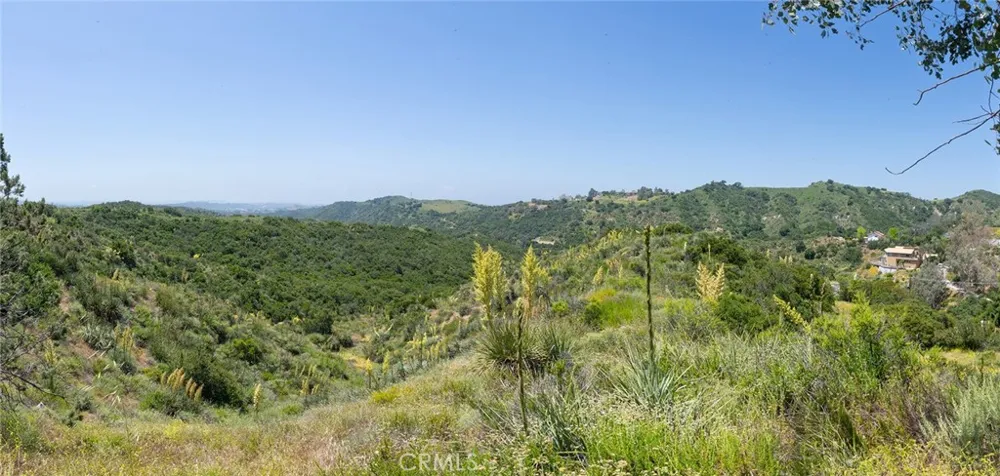 Chris Lane Trabuco Canyon, CA 92679