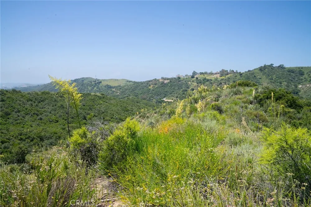 Chris Lane Trabuco Canyon, CA 92679