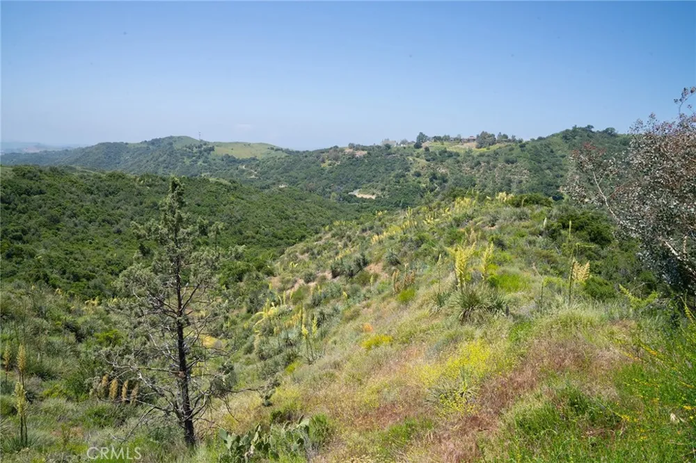 Chris Lane Trabuco Canyon, CA 92679