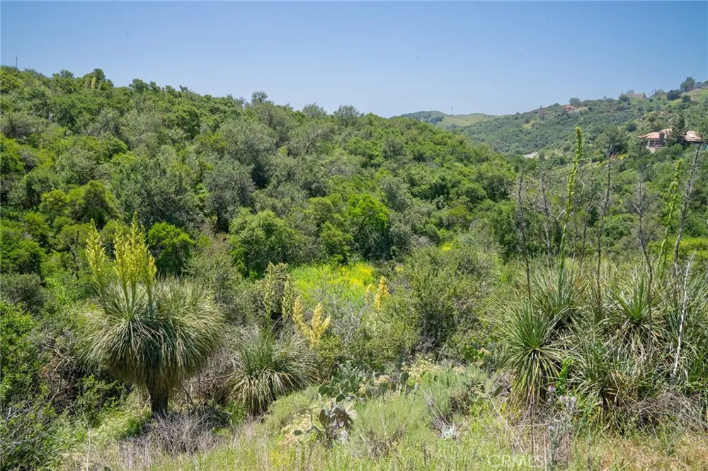 Chris Lane Trabuco Canyon, CA 92679