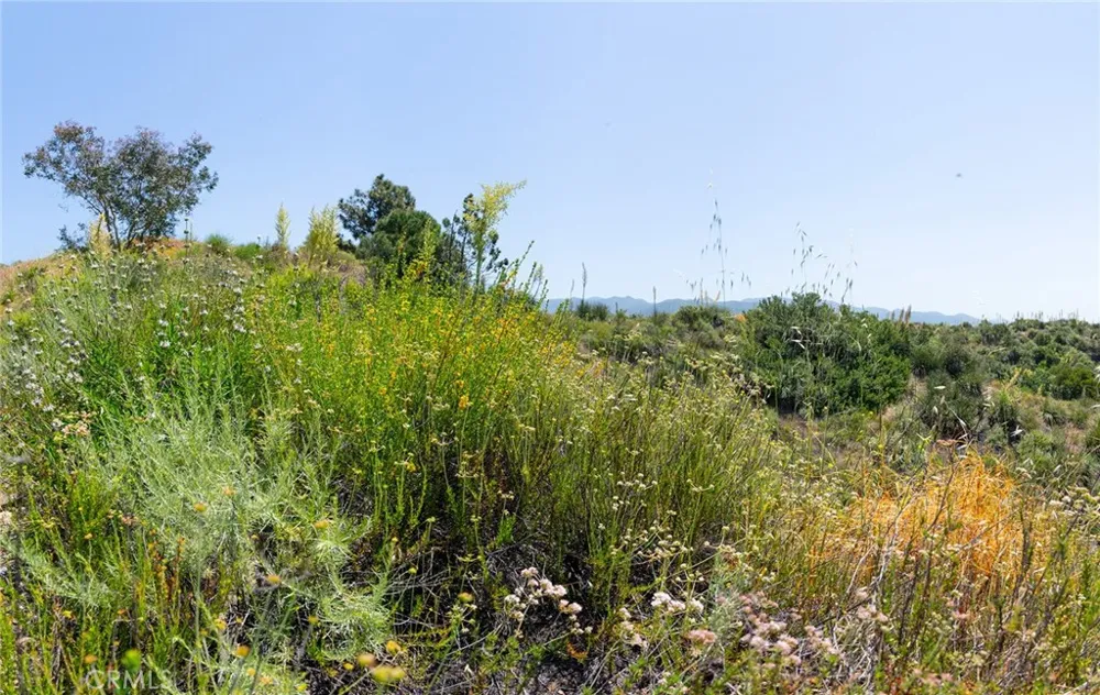 Chris Lane Trabuco Canyon, CA 92679