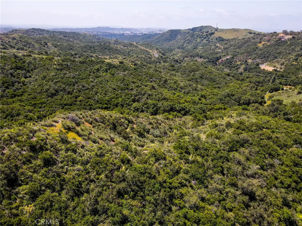 Chris Lane Trabuco Canyon, CA 92679