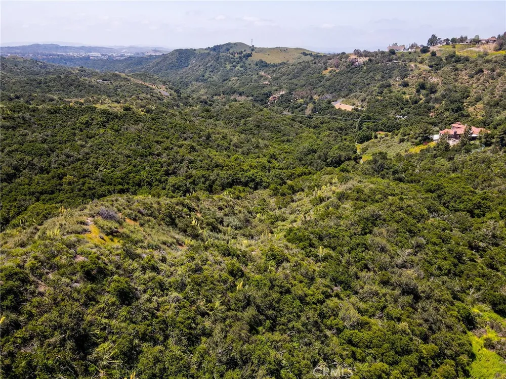 Chris Lane Trabuco Canyon, CA 92679