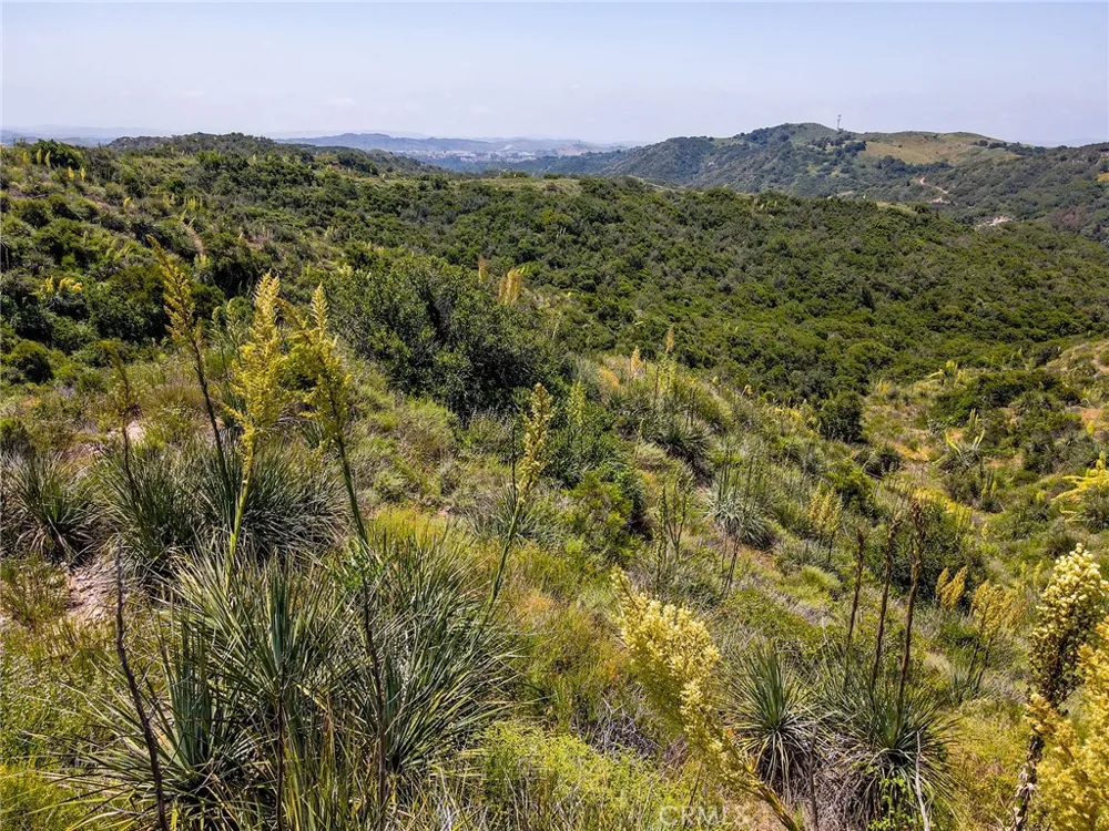 Chris Lane Trabuco Canyon, CA 92679