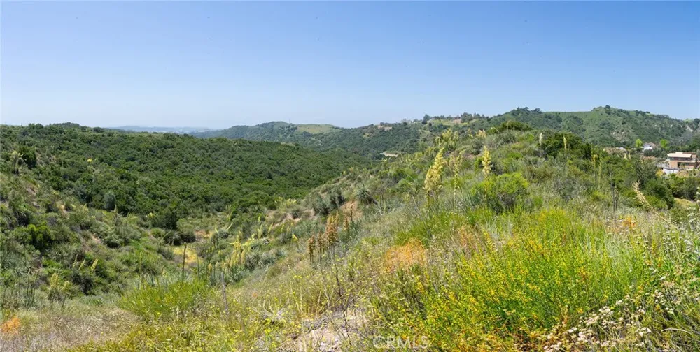 Chris Lane Trabuco Canyon, CA 92679