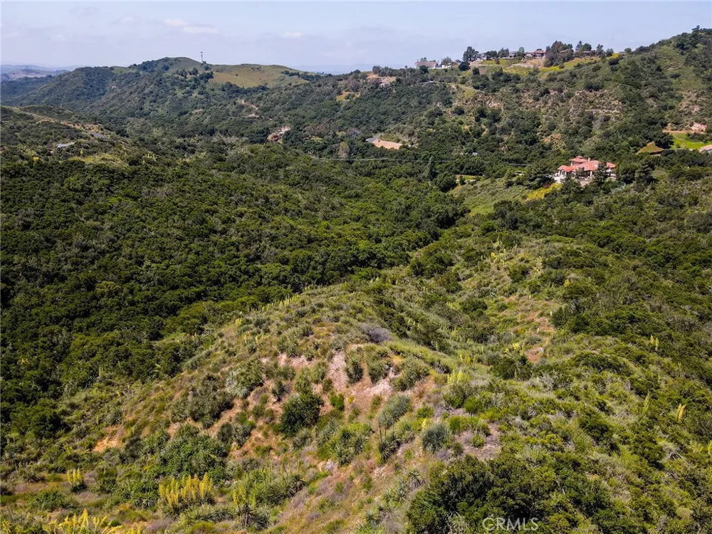 Chris Lane Trabuco Canyon, CA 92679