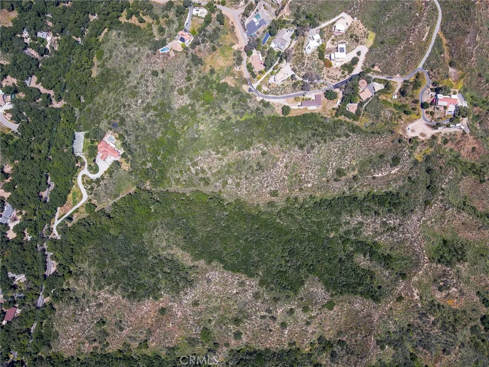 Chris Lane Trabuco Canyon, CA 92679