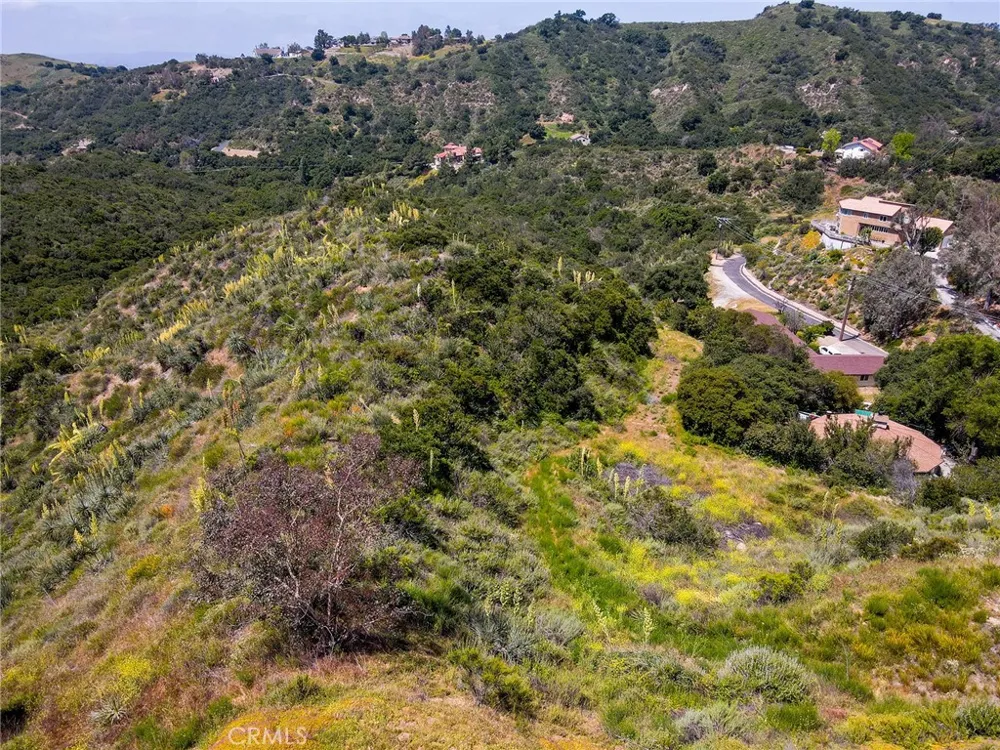 Chris Lane Trabuco Canyon, CA 92679